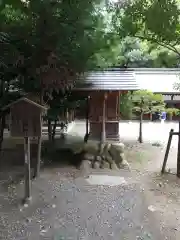 秩父神社(埼玉県)