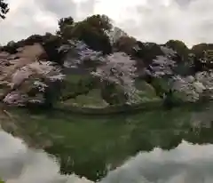 靖國神社の景色