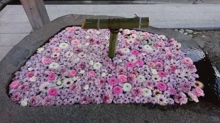 荘内神社の手水舎