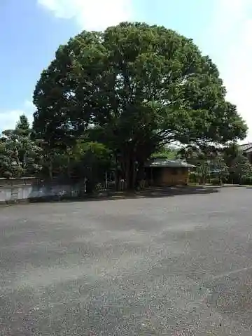 安養寺のその他建物