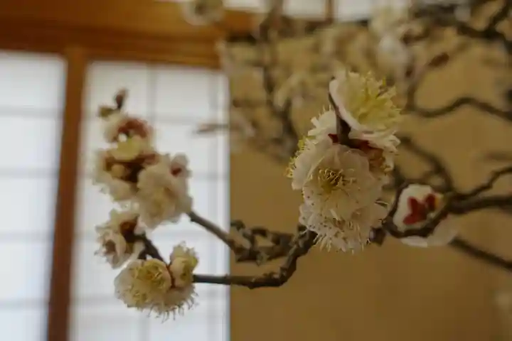菅原天満宮(菅原神社)の自然
