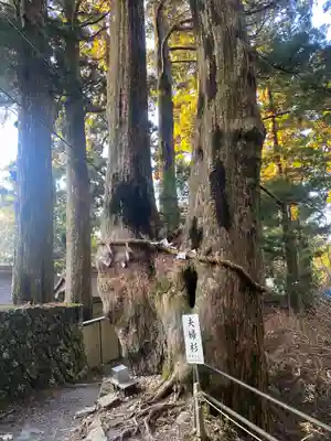 玉置神社(奈良県)