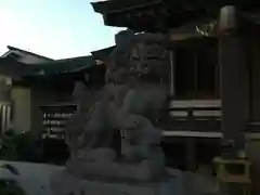 若宮神社の狛犬