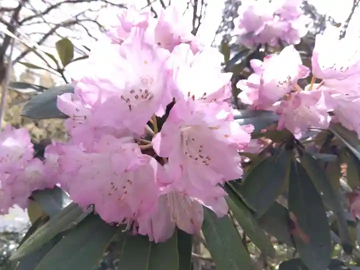 常照皇寺(京都府)