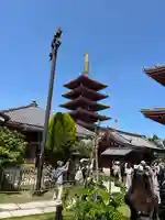 浅草寺(東京都)