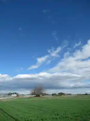 神明神社(千葉県)