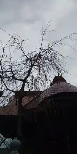 大鏑神社の自然