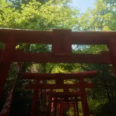 岐阜稲荷山本社の鳥居