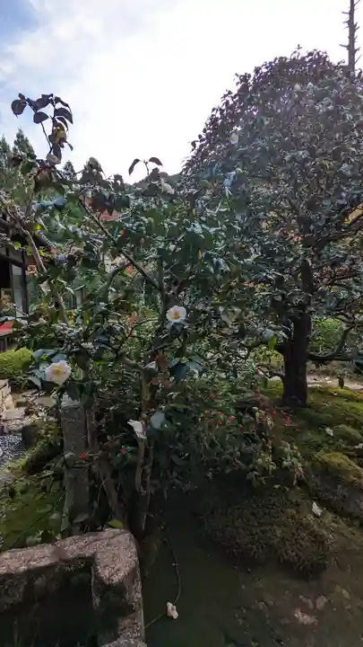 雲龍院(京都府)