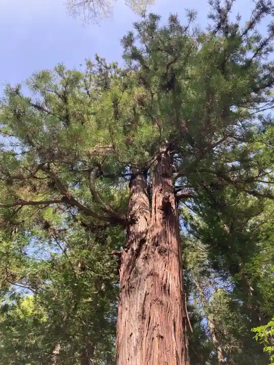 諏訪大社下社春宮(長野県)