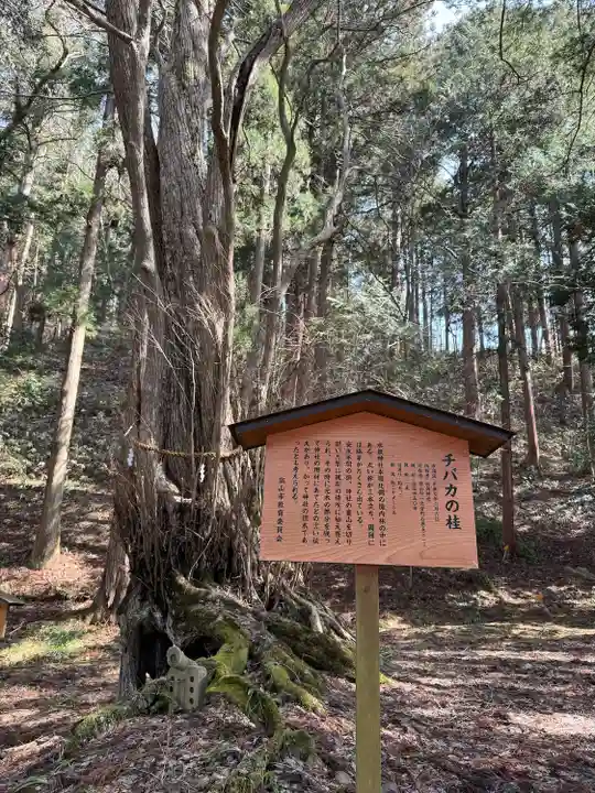 飛驒一宮水無神社(岐阜県)