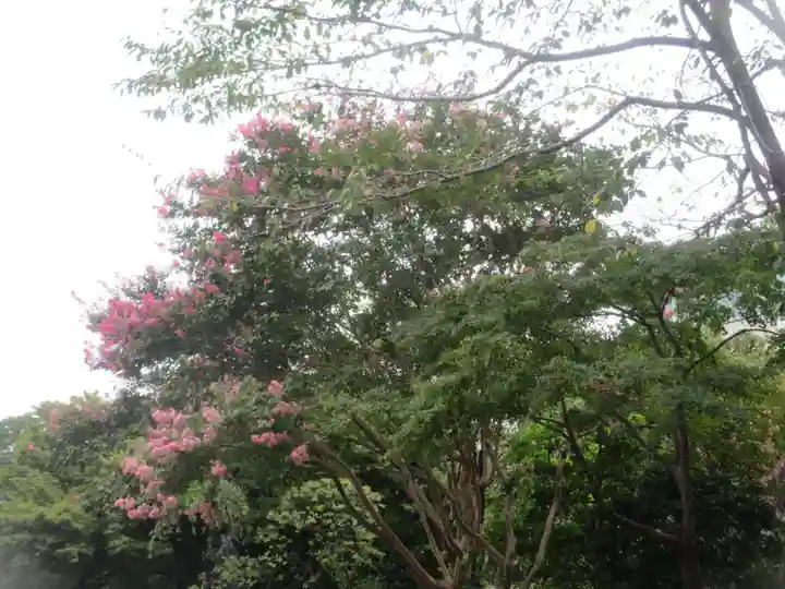 伝通院(東京都)