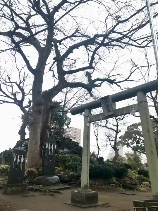飯香岡八幡宮(千葉県)
