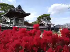 普元寺(愛知県)