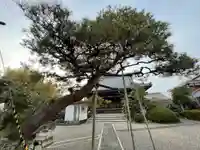 常教寺(滋賀県)