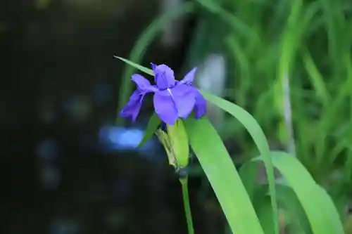 鹿島大神宮の庭園