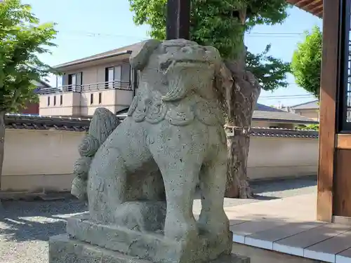 早川神社の狛犬