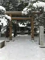 北海道神宮の鳥居