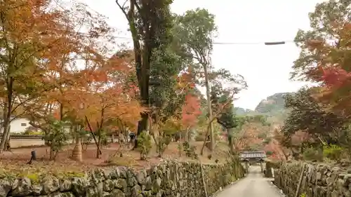 興聖寺（興聖寶林禅寺）の景色