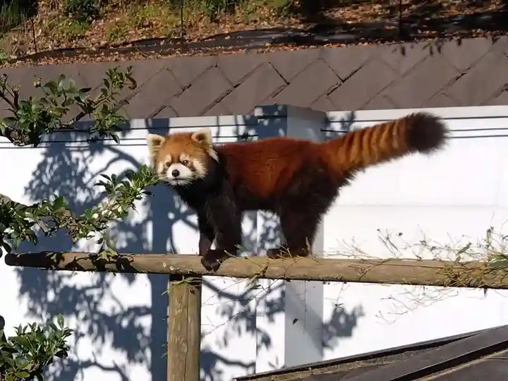 妙法寺(福井県)