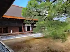 妙心寺（妙心禅寺）(京都府)