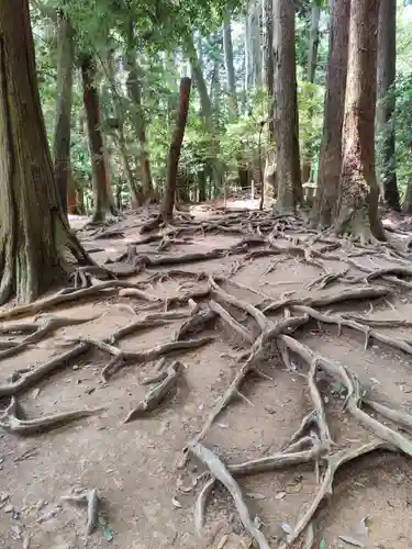 鞍馬寺奥の院 魔王殿(京都府)