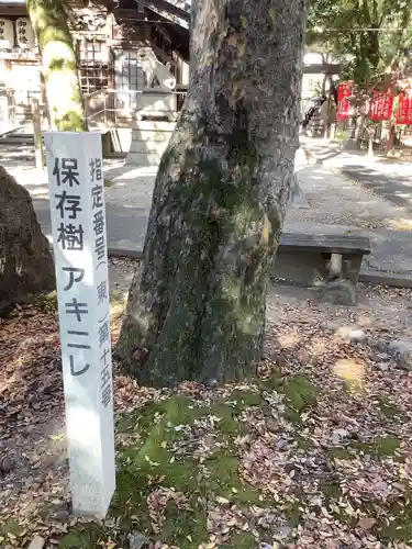 白山神社の自然
