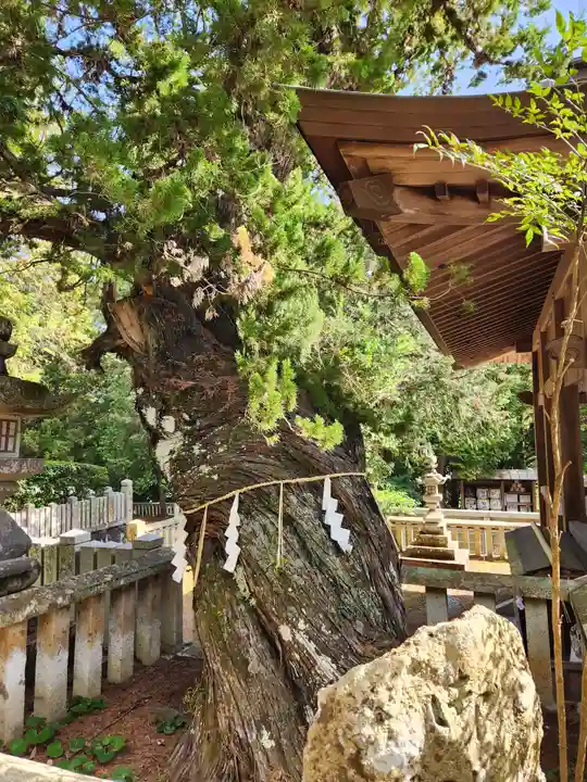 梛八幡神社(兵庫県)