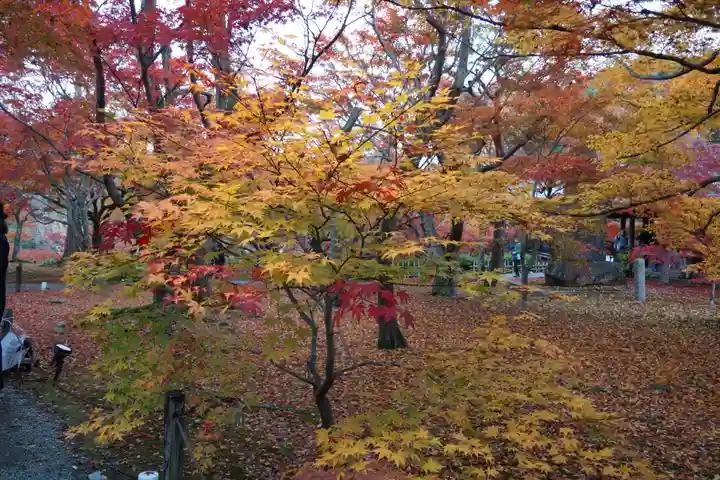 東福禅寺(東福寺)(京都府)