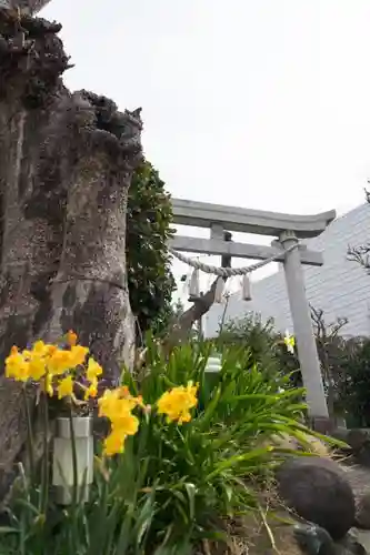 横浜御嶽神社の建物その他