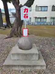 新曽氷川神社の像