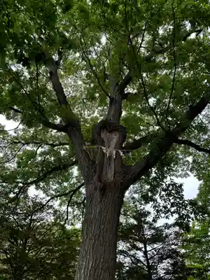厚別神社(北海道)