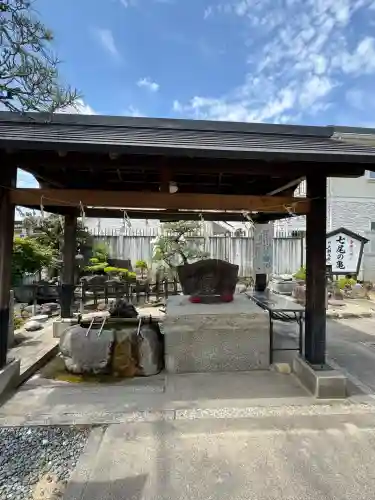 七尾神社の{uncategorized: "未分類", other: "その他", undefined: "問題あり", building: "その他建物", grave: "お墓", sacred_gate: "鳥居", guardian: "狛犬", statue: "像", buddha: "仏像", history: "歴史", nature: "自然", garden: "庭園", animal: "動物", pagoda: "塔", temizu: "手水舎", mountain_gate: "山門・神門", sanctuary: "本殿・本堂", subordinate: "末社・摂社", art: "芸術", scenery: "景色", jizo: "地蔵", ema: "絵馬", goshuin: "御朱印", omikuji: "おみくじ", items: "授与品その他", amulet: "お守り", goshuincho: "御朱印帳", eats: "食事", festival: "お祭り", votive_dance: "神楽", shichigosan: "七五三参", wedding: "結婚式", experience: "体験その他", initially: "初詣", around: "周辺", anti_infection: "感染症対策"}