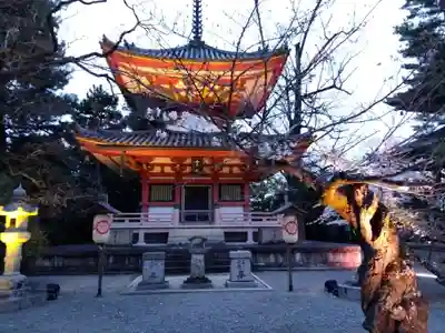 知恩院(京都府)