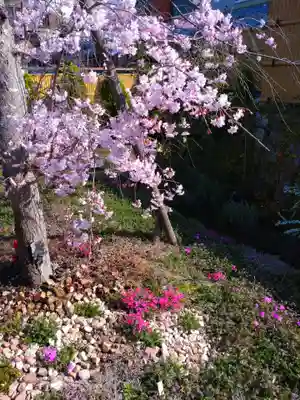 寿量山 速成寺(奈良県)