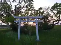 水神社の鳥居