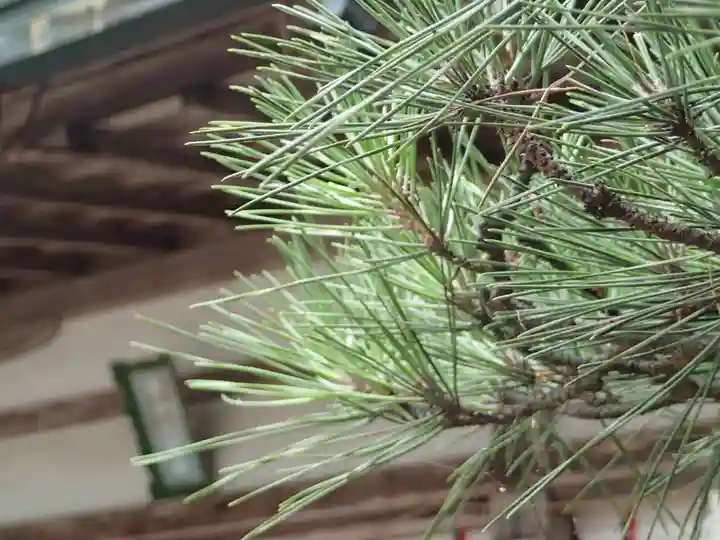 都祁水分神社の自然