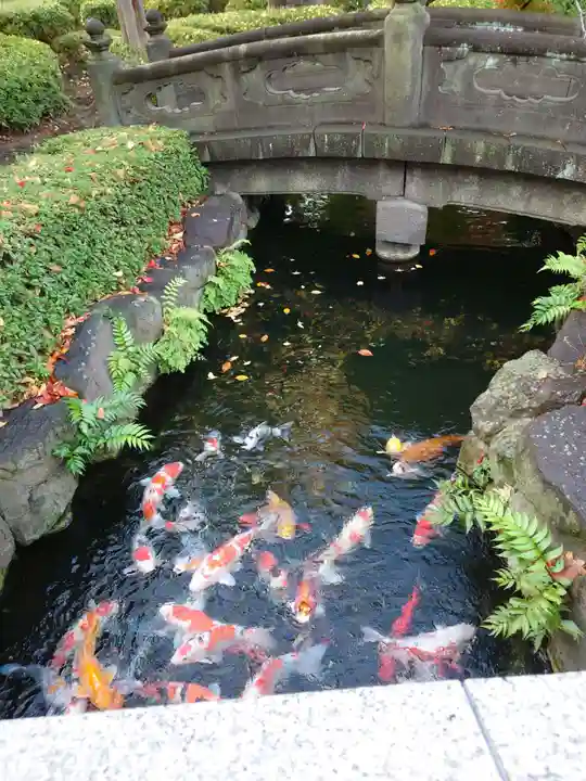 浅草寺(東京都)