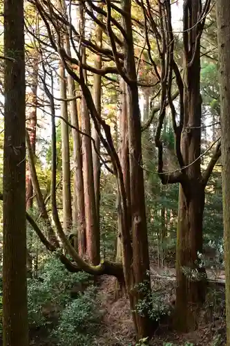 槵觸神社(宮崎県)
