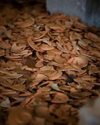 福井県護国神社(福井県)