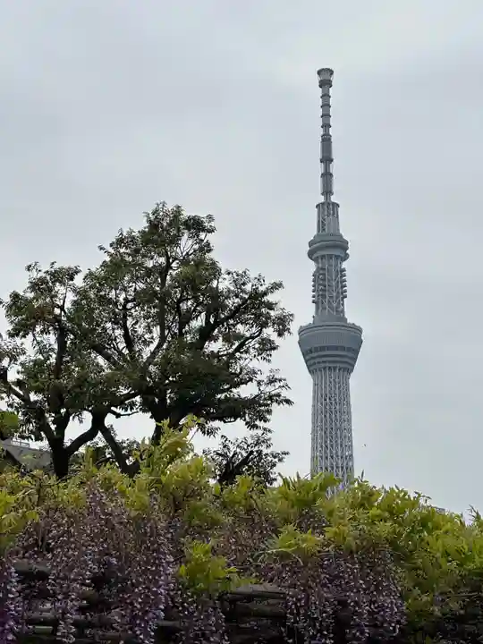 亀戸天神社(東京都)