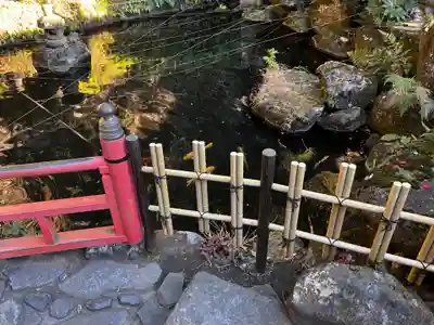銭洗弁財天宇賀福神社の庭園