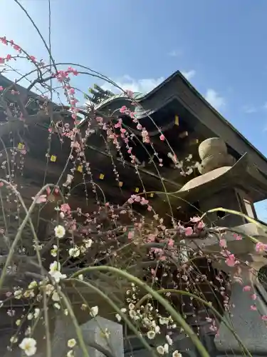 大阪天満宮の{uncategorized: "未分類", other: "その他", undefined: "問題あり", building: "その他建物", grave: "お墓", sacred_gate: "鳥居", guardian: "狛犬", statue: "像", buddha: "仏像", history: "歴史", nature: "自然", garden: "庭園", animal: "動物", pagoda: "塔", temizu: "手水舎", mountain_gate: "山門・神門", sanctuary: "本殿・本堂", subordinate: "末社・摂社", art: "芸術", scenery: "景色", jizo: "地蔵", ema: "絵馬", goshuin: "御朱印", omikuji: "おみくじ", items: "授与品その他", amulet: "お守り", goshuincho: "御朱印帳", eats: "食事", festival: "お祭り", votive_dance: "神楽", shichigosan: "七五三参", wedding: "結婚式", experience: "体験その他", initially: "初詣", around: "周辺", anti_infection: "感染症対策"}