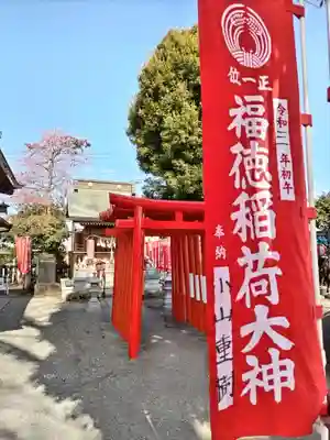 相模原氷川神社(神奈川県)