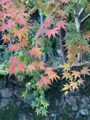 西明寺(滋賀県)