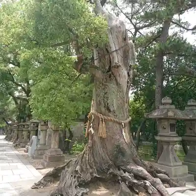 住吉大社(大阪府)