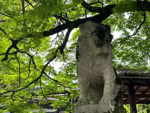 松尾大社(京都府)