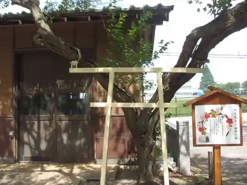 大宮・大原神社の鳥居