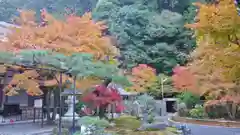 高徳庵　(最勝院）の庭園