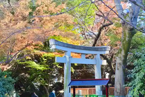 愛宕神社の鳥居